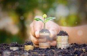 Como Definir e Manter Prioridades Financeiras ao Longo da Vida