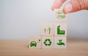 Por que consumo responsável é chave para sustentabilidade