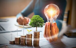 Os Princípios Básicos da Gestão de Investimentos que Todo Investidor Deve Conhecer