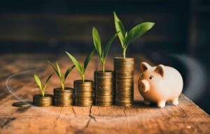 A Importância da Poupança para a Estabilidade Financeira